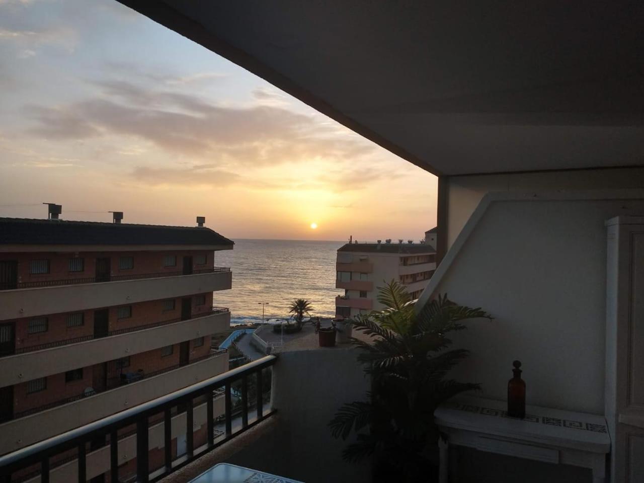 Cabo Cervera 50 M Del Mar Apartamento